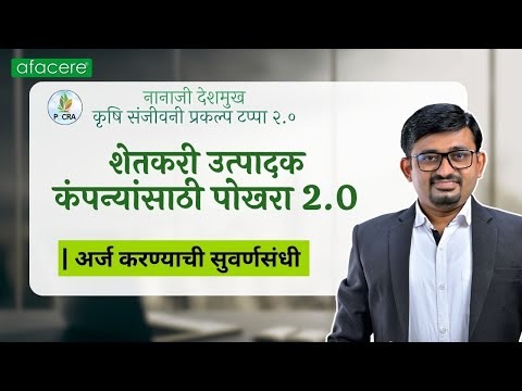 Government Subsidies and Financial Support Schemes for Businesses