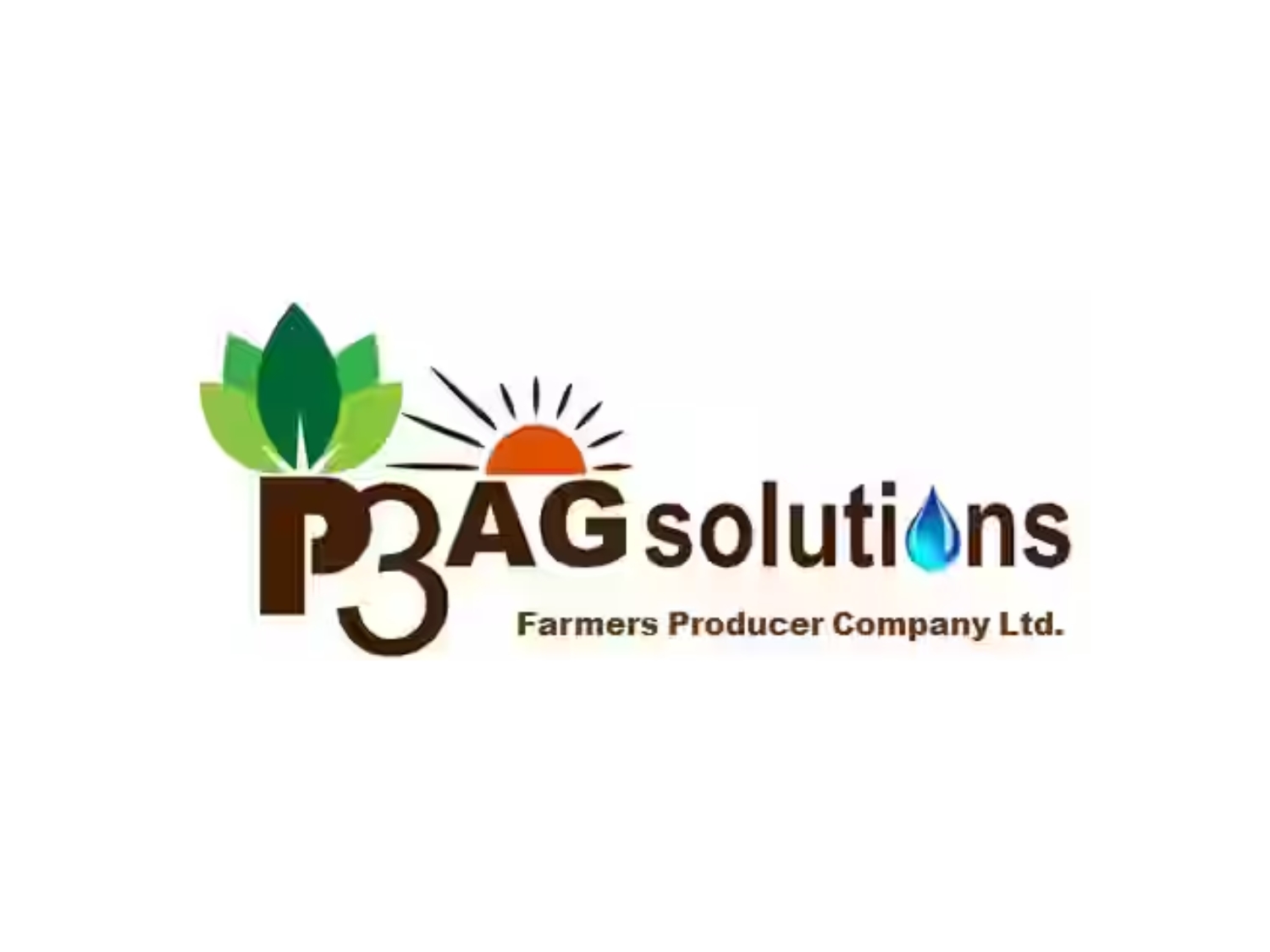 Pthree Agsolutions Farmer Producer Company, Hingoli