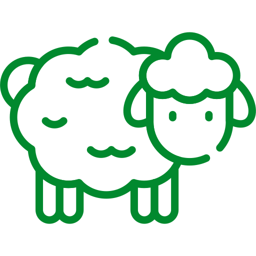 National Livestock Mission (NLM)